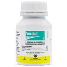 Verdict