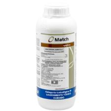 MATCH